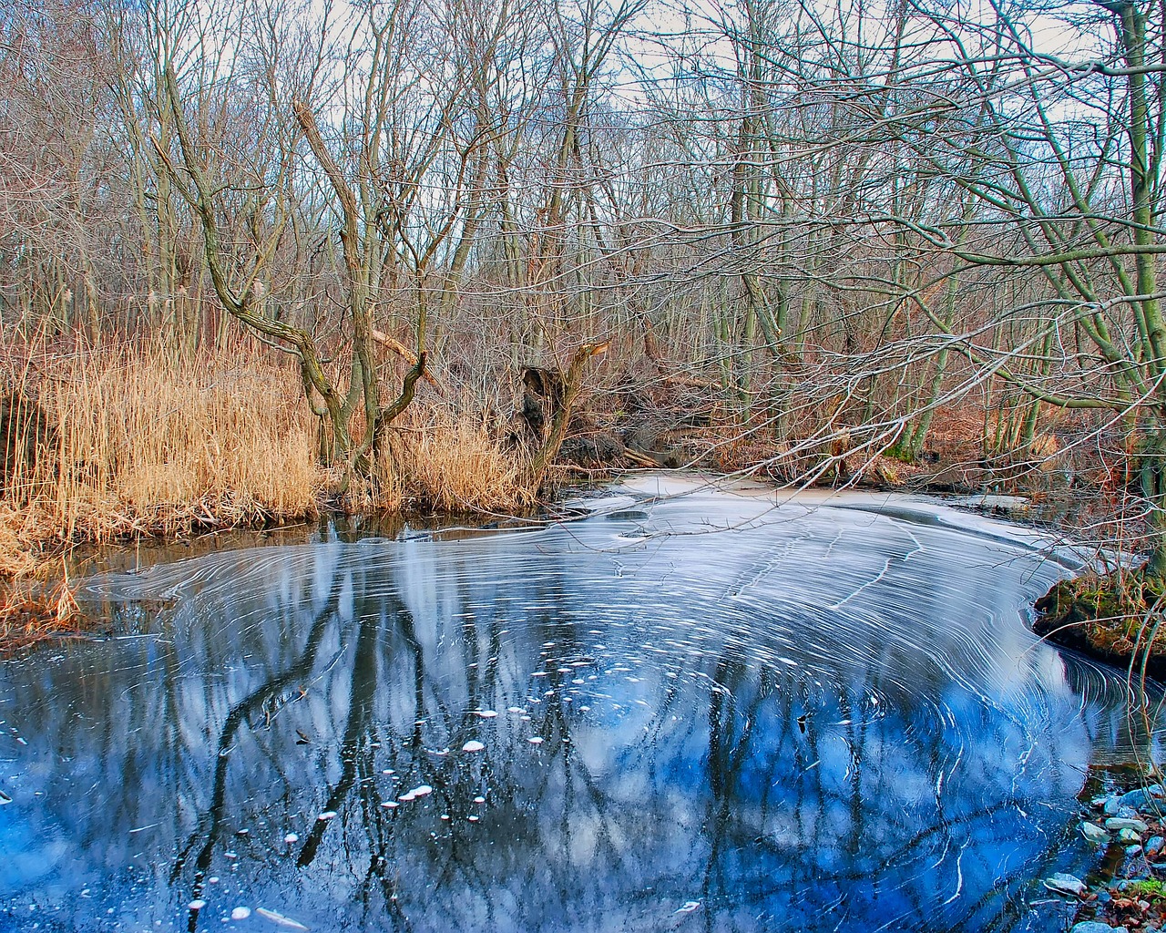 Why Conserving Wetlands is Crucial for a Healthy Planet